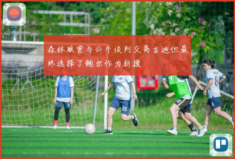 森林狼曾与公牛谈判交易吉迪但最终选择了鲍尔作为新援
